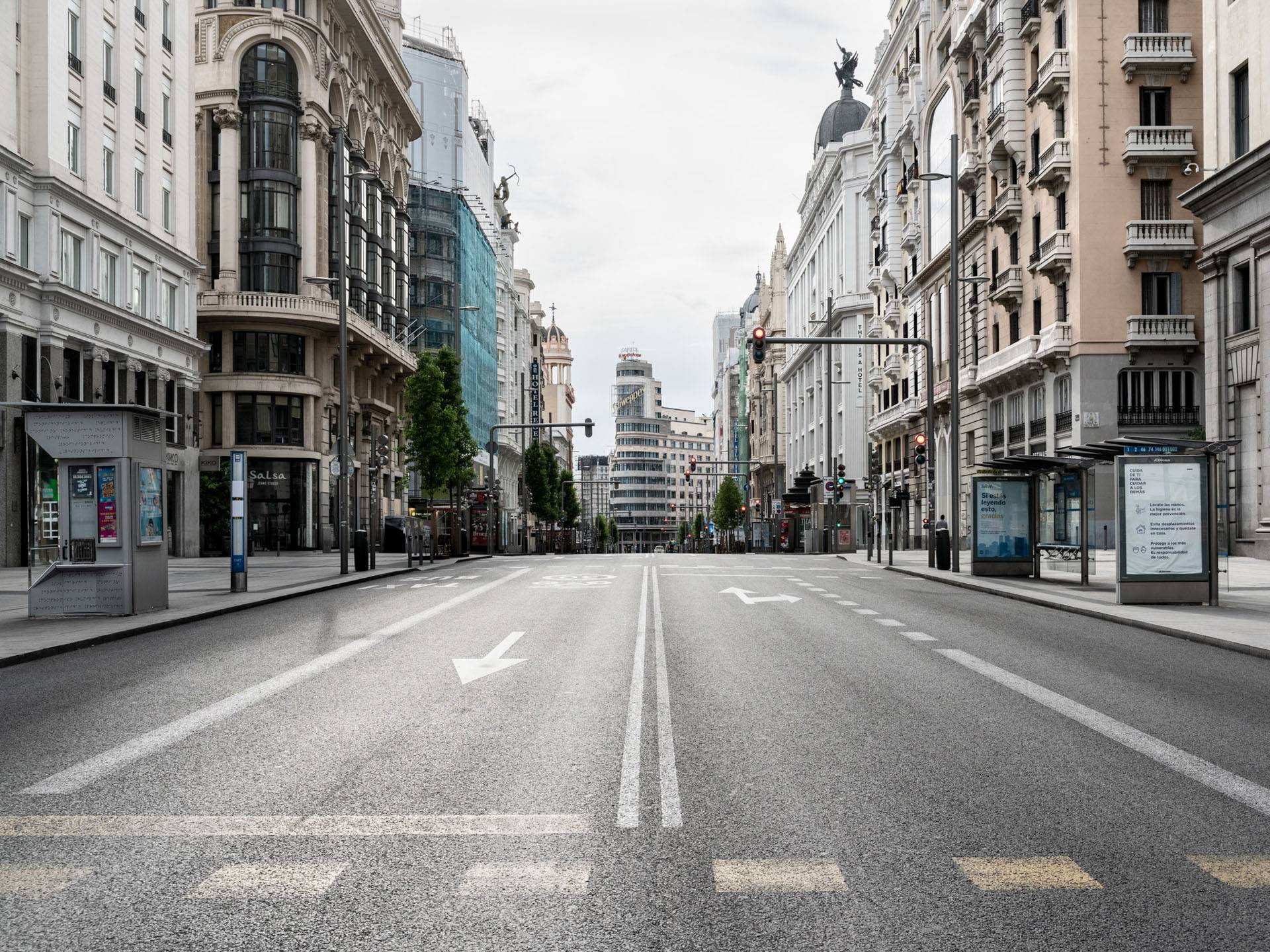 exposición Los hijos del ciervo exposición Los hijos del ciervo