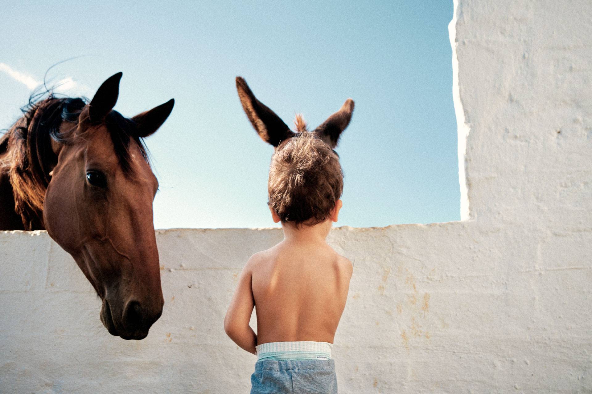 exposición Los hijos del ciervo exposición Los hijos del ciervo