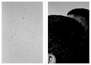 La Vertigine (2017)-25-©Federico Clavarino