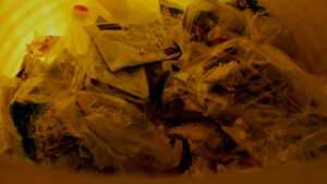 © Kevin Marcelo Rodríguez Prada Accésit Becas LENS de Cine 2022 - Máster FRAME en Montaje Cinematográfico© Kevin Marcelo Rodríguez Prada Accésit Becas LENS de Cine 2022 - Máster FRAME en Montaje Cinematográfico