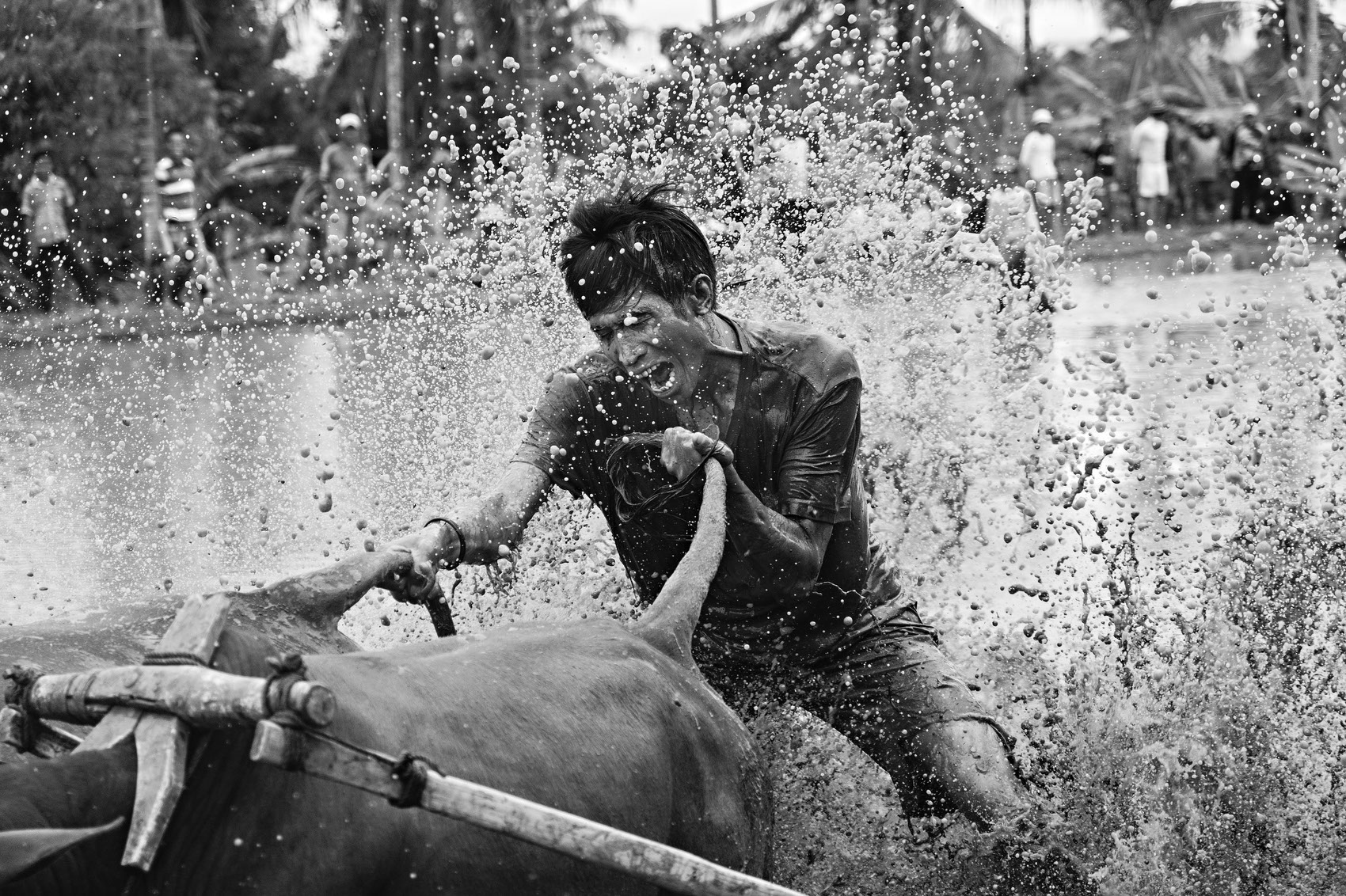 Curso Fotografiar en Movimiento con Walter Astrada - Lens Escuela