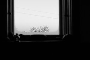 The Window - ©Ana Amado - Exposición The Wall Lens Escuela