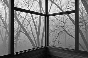 The Window - ©Ana Amado - Exposición The Wall Lens Escuela