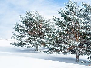 Curso de Adobe Photoshop con Jorge Salgado - Lens Escuela