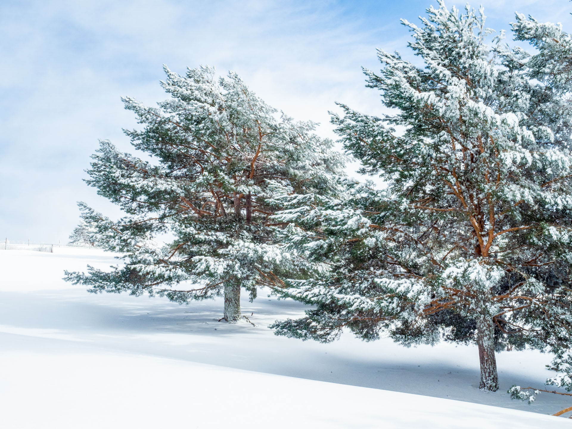 Curso de Adobe Photoshop con Jorge Salgado - Lens Escuela Curso de Adobe Photoshop con Jorge Salgado - Lens Escuela