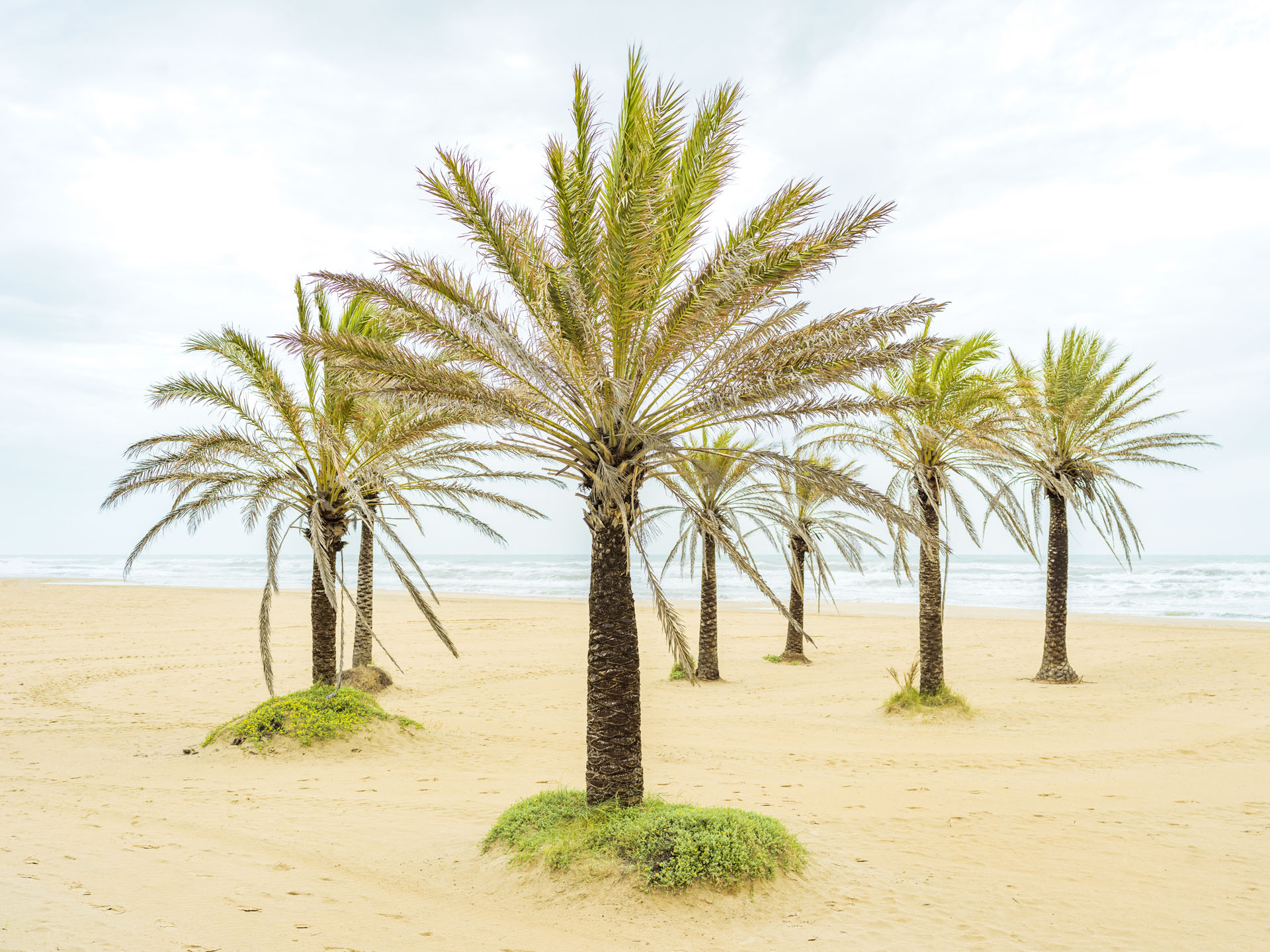 Curso de Adobe Photoshop con Jorge Salgado - Lens Escuela Curso de Adobe Photoshop con Jorge Salgado - Lens Escuela