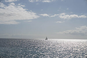 Mi manera - ©Felix Ladurner