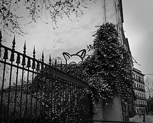 ©Rafael Trapiello