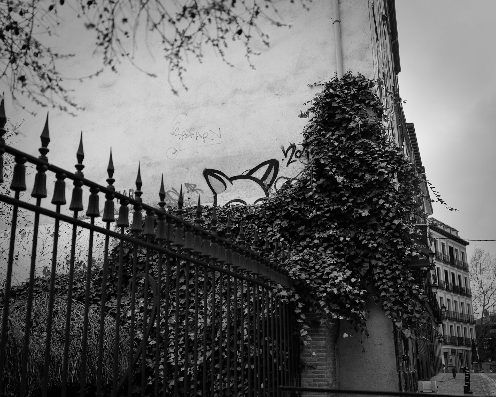 ©Rafael Trapiello