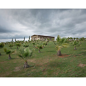 Homo reus - ©Rafael Trapiello