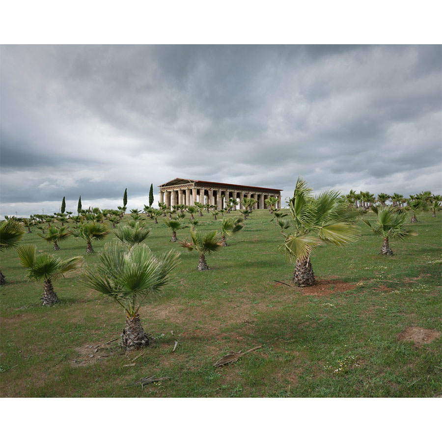 Homo reus - ©Rafael Trapiello Homo reus - ©Rafael Trapiello