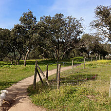 El arte de pasear: un recorrido por la Casa de Campo - ©Teresa García-Baró