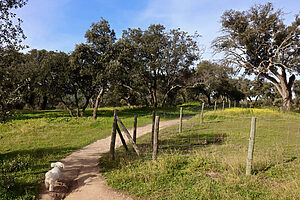 El arte de pasear: un recorrido por la Casa de Campo - ©Teresa García-Baró