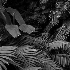 Entre dos islas - ©Laura Ristea
