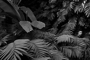 Entre dos islas - ©Laura Ristea