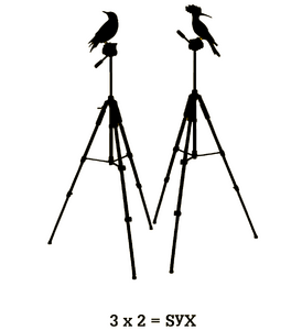 Logo SyX Estudio