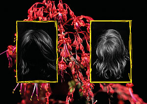 Exposición colectiva de MAPA - Máster en Fotografía Contemporánea