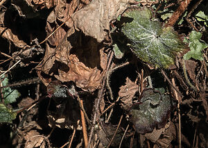 Exposición colectiva de MAPA - Máster en Fotografía Contemporánea