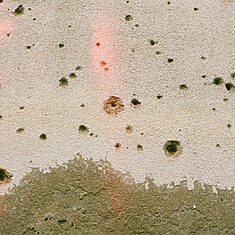 ©Moira Fratta - SUI PAS DI MILIO – ATLAS DE HUELLAS Y COINCIDENCIAS ©Moira Fratta - SUI PAS DI MILIO – ATLAS DE HUELLAS Y COINCIDENCIAS