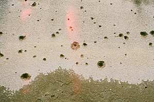 ©Moira Fratta - SUI PAS DI MILIO – ATLAS DE HUELLAS Y COINCIDENCIAS