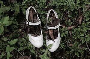 ©Alejandra Hugues Irazábal - Si un día te encuentro - 2