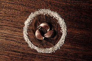 ©Alejandra Hugues Irazábal - Si un día te encuentro - 7