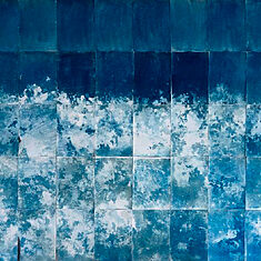 ©Carolina Baldomá - Impresiones de la naturaleza - 1 ©Carolina Baldomá - Impresiones de la naturaleza - 1