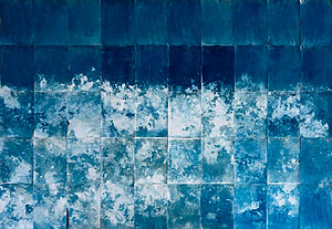 ©Carolina Baldomá - Impresiones de la naturaleza - 1