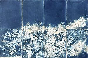 ©Carolina Baldomá - Impresiones de la naturaleza - 6