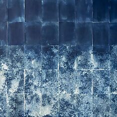 ©Carolina Baldomá - Impresiones de la naturaleza - 7 ©Carolina Baldomá - Impresiones de la naturaleza - 7