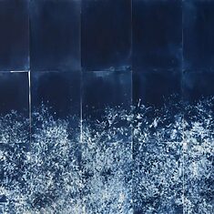 ©Carolina Baldomá - Impresiones de la naturaleza - 9 ©Carolina Baldomá - Impresiones de la naturaleza - 9