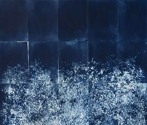 ©Carolina Baldomá - Impresiones de la naturaleza - 9