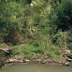 ©Iván Avilés Rodríguez - 42 - 7 ©Iván Avilés Rodríguez - 42 - 7