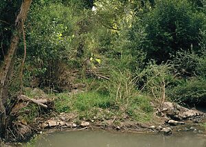 ©Iván Avilés Rodríguez - 42 - 7