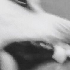 ©Marta González Gómez - Carne de perro - 4 ©Marta González Gómez - Carne de perro - 4