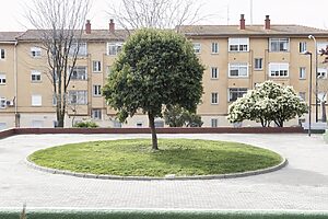 ©Marta MOMU - 17 Metros - 4