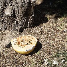 ©Marta MOMU - 17 Metros - 5 ©Marta MOMU - 17 Metros - 5