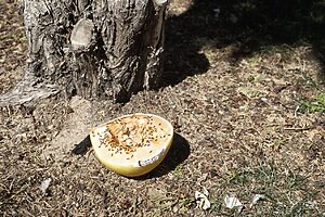 ©Marta MOMU - 17 Metros - 5