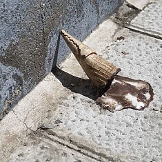 ©Marta MOMU - 17 Metros - 8 ©Marta MOMU - 17 Metros - 8