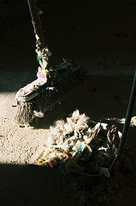 Pan, pijo y habas - ©Malu Reigal