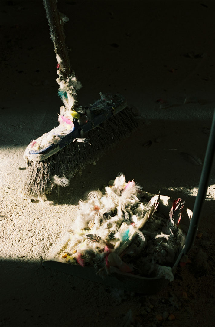 Pan, pijo y habas - ©Malu Reigal