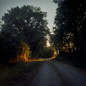 Humming in Tune - ©Paula Yubero y Ricardo Sousa