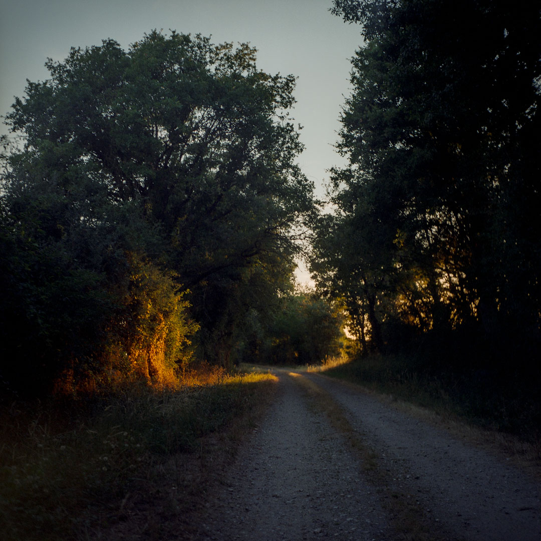 Humming in Tune - ©Paula Yubero y Ricardo Sousa