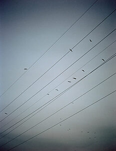 Rabasa - ©David Mocha