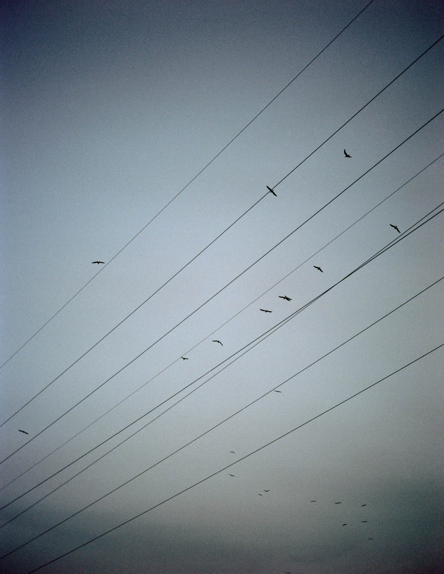 Rabasa - ©David Mocha