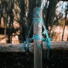 ©Raquel Luna ©Raquel Luna