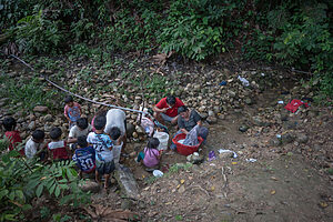 Antes de que el bosque quede en silencio - ©Luisenrrique Becerra - 8