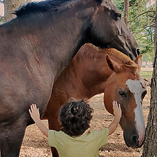 La Piel de ©Javier Olivera La Piel de ©Javier Olivera