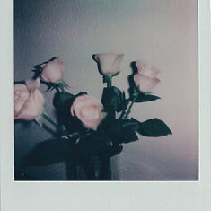 La Novia sin Novio - ©Bárbara Fernández - 1