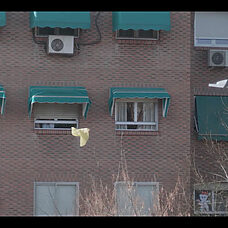Grabar una película desde la ventana es fácil - ©Anna Grave